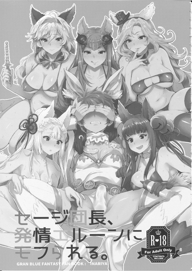 しょうひんめいしじだんちょう、初歩えるんにもふレアル