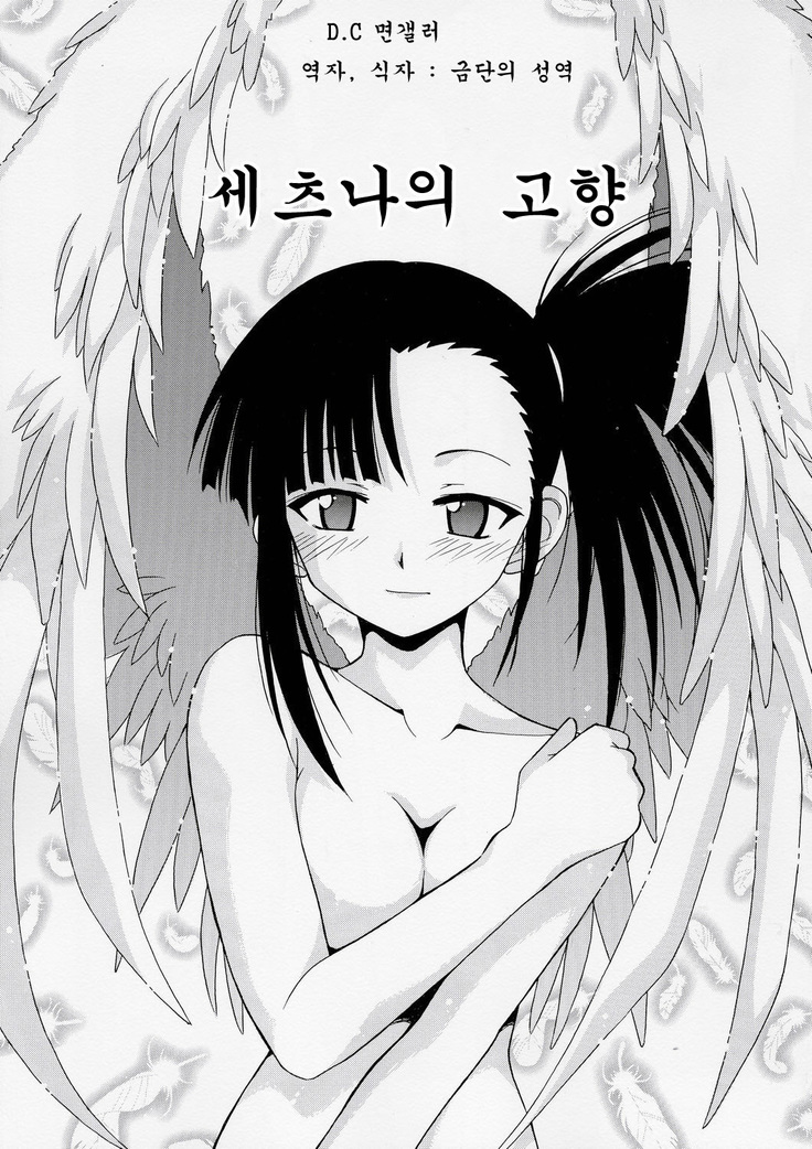刹那の故郷 刹那の故郷