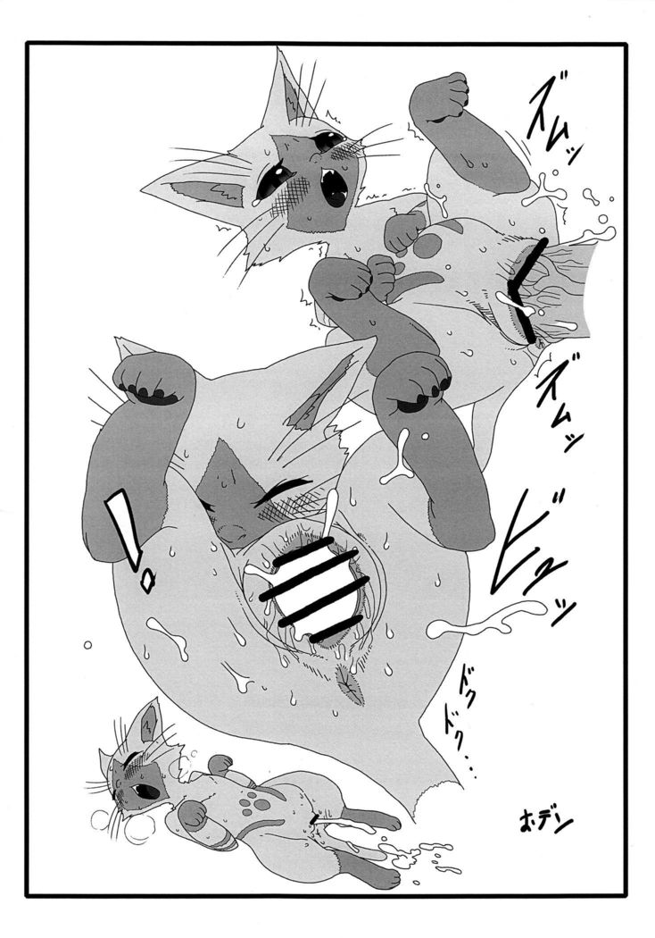 |深夜のプラウラー