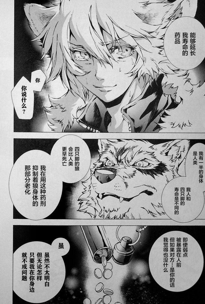 ワイルドレッグオオカミ