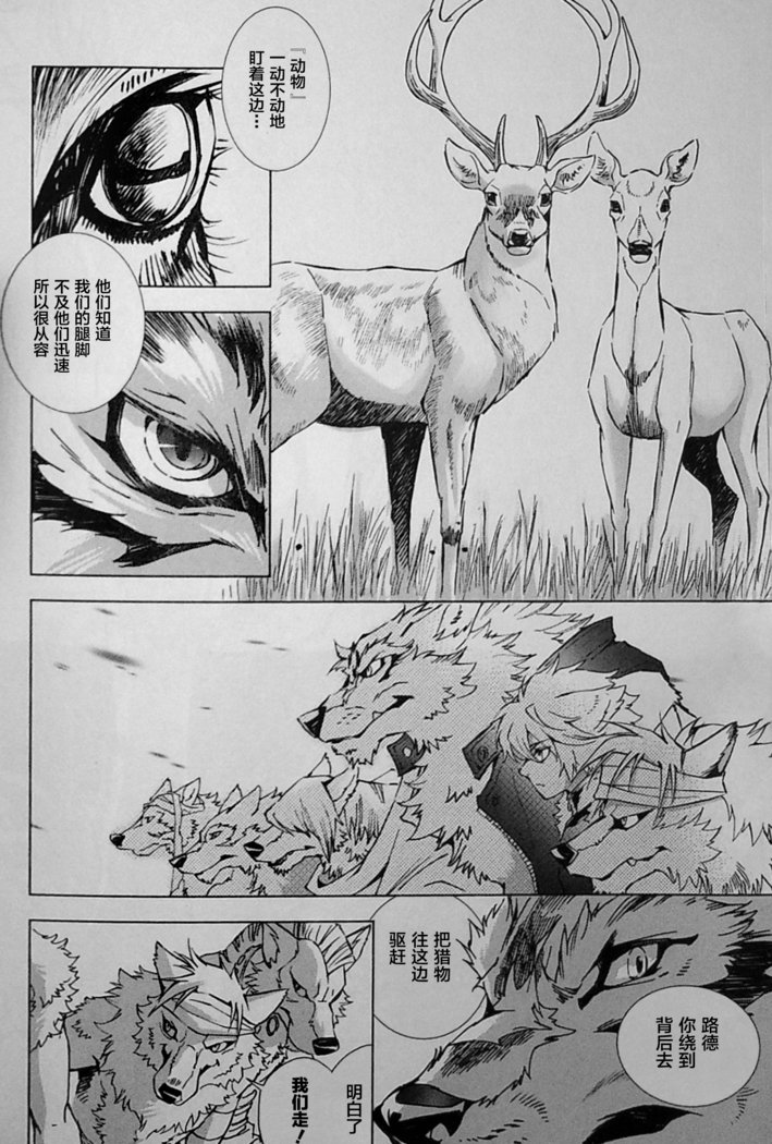 ワイルドレッグオオカミ