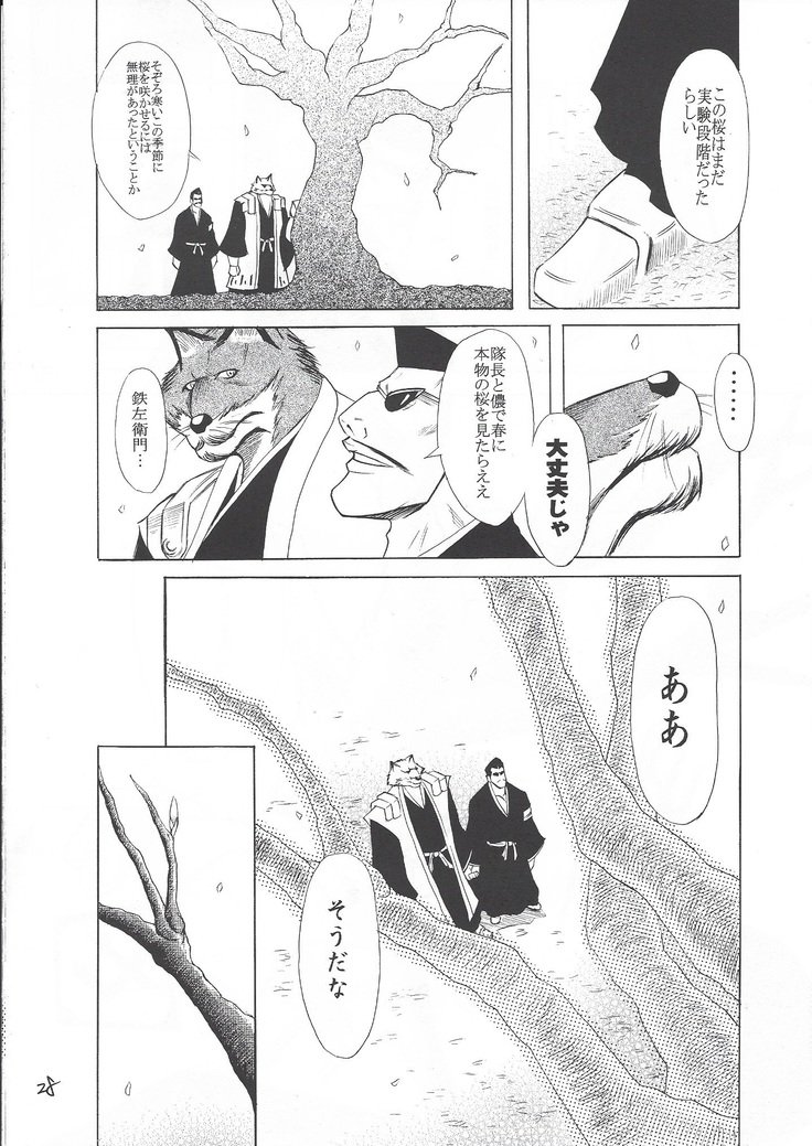 カレイナルイバナウアー