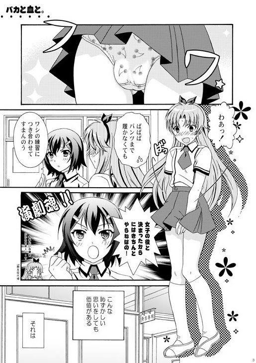 男の娘の本ツヴァイ