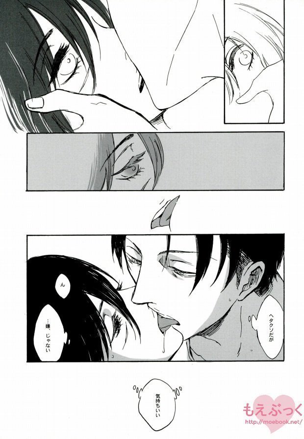 【EBGR】【進撃の巨人/ RivaMika 3】