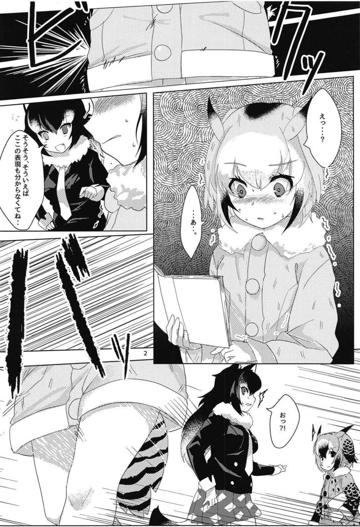 はかせの城州さん