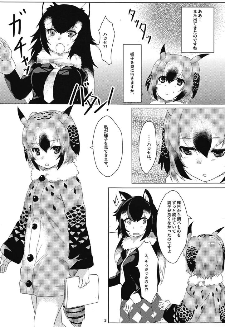 はかせの城州さん