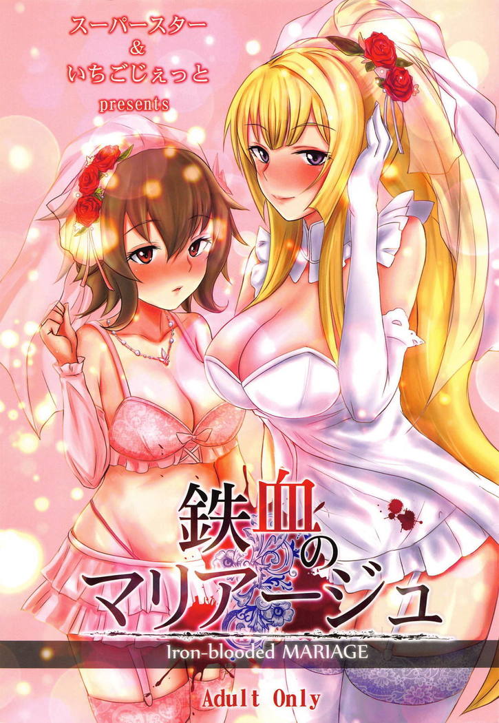 機動戦士ガンダムのマリアージュ-鉄血の結婚 機動戦士ガンダムのマリアージュ-鉄血の結婚