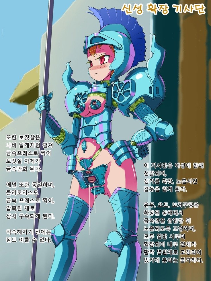 少女ひわいそうびしゅう
