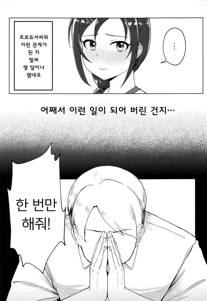 おねがい！ルーキートレーナー| 부탁해！ 루키트레이너