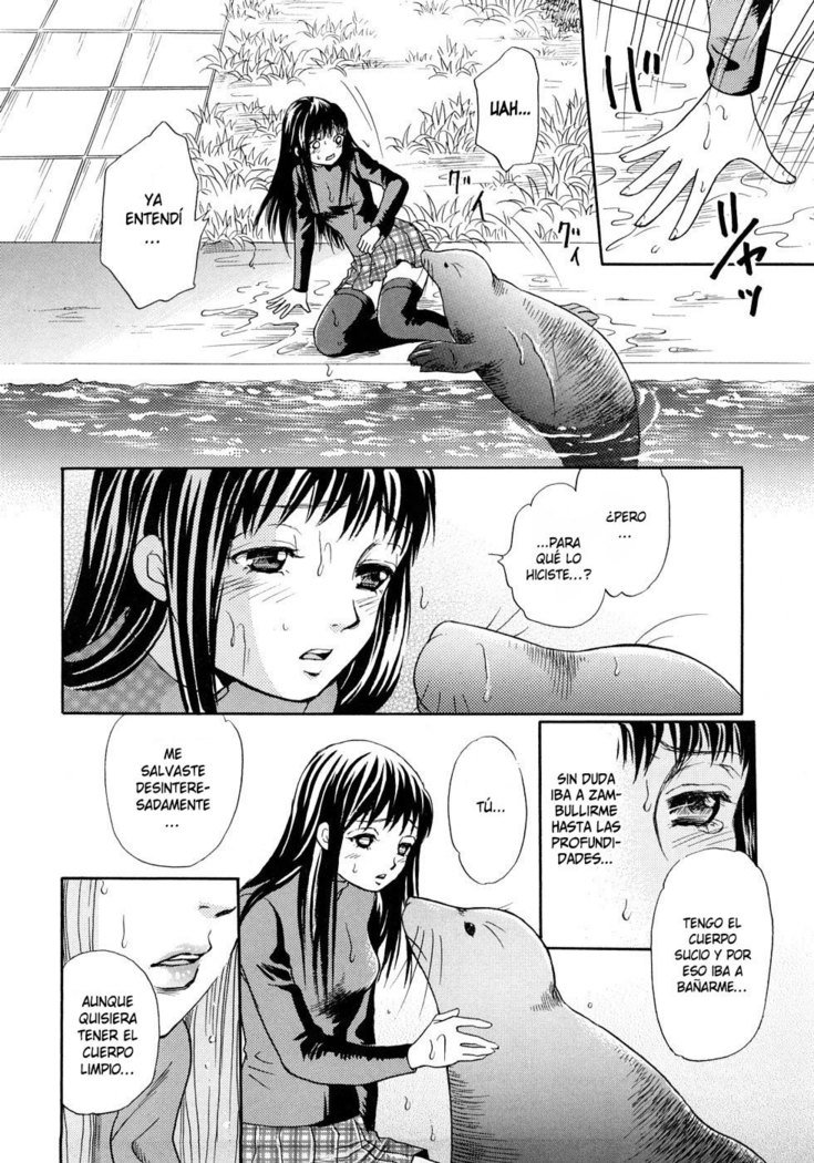 ほうかごはじゅうかん