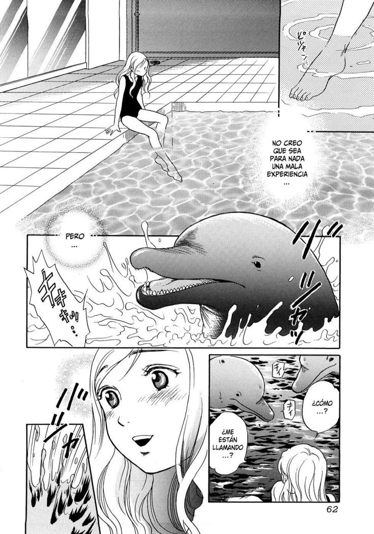 ほうかごはじゅうかん