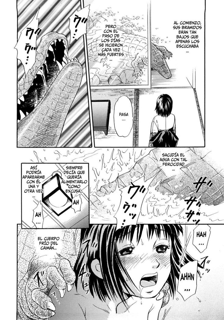 ほうかごはじゅうかん