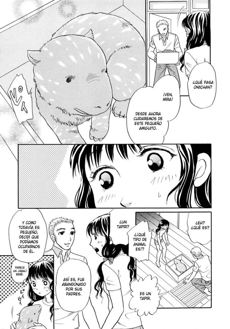 ほうかごはじゅうかん