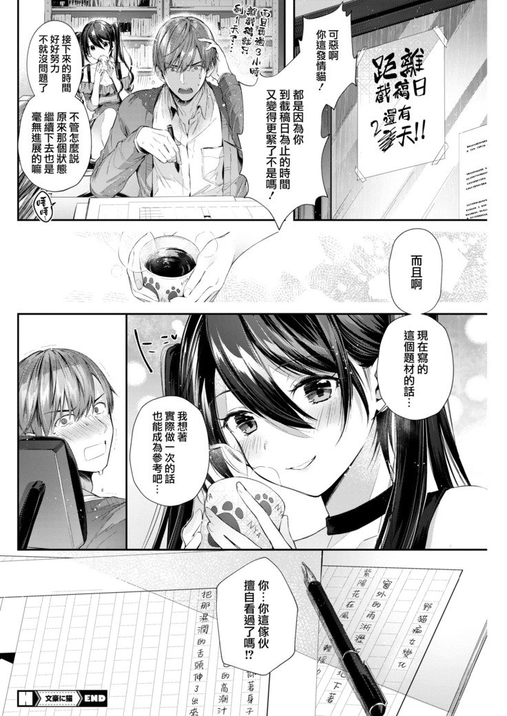 豊後にねこ
