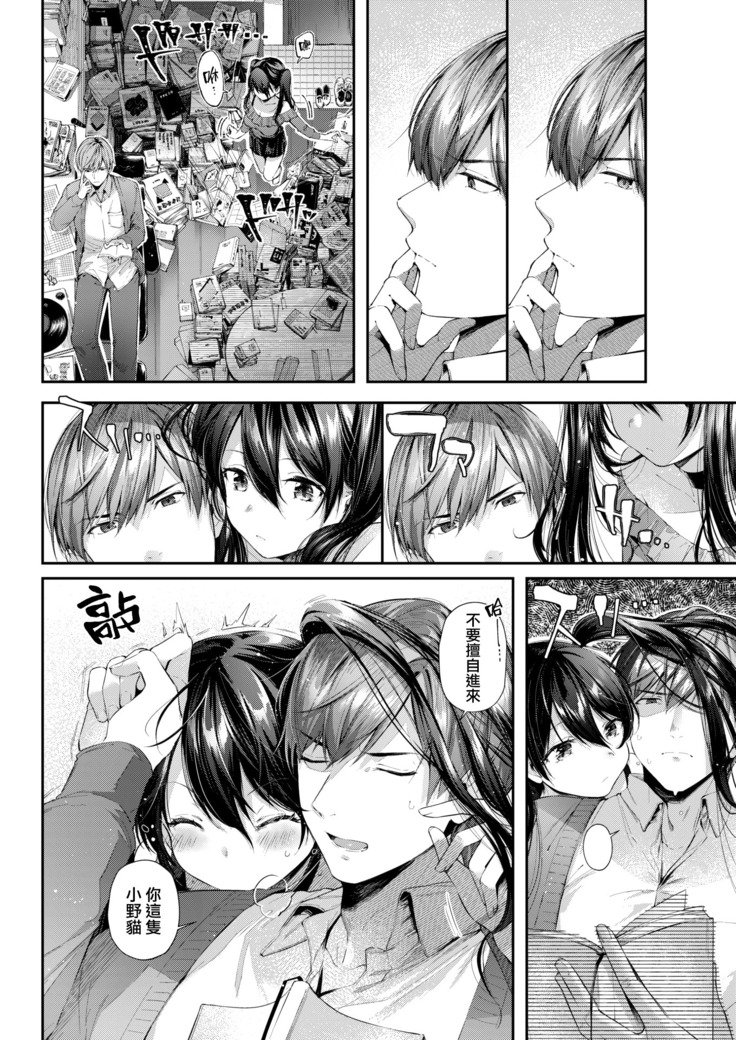 豊後にねこ