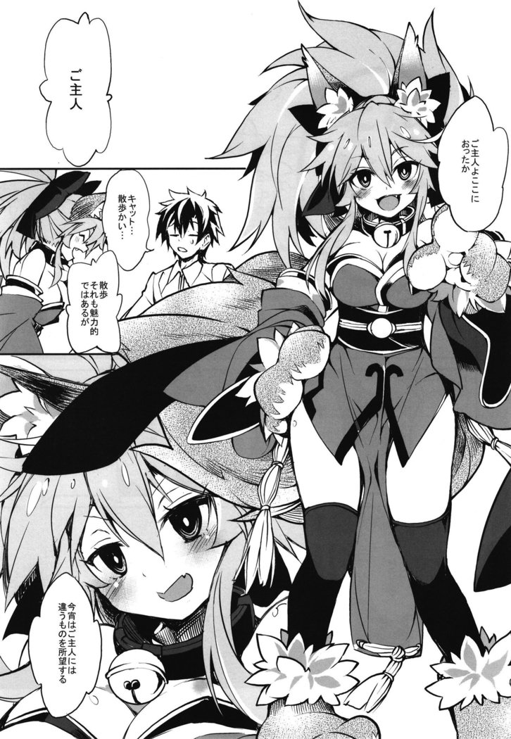 猫ちゃんこずくり大作戦