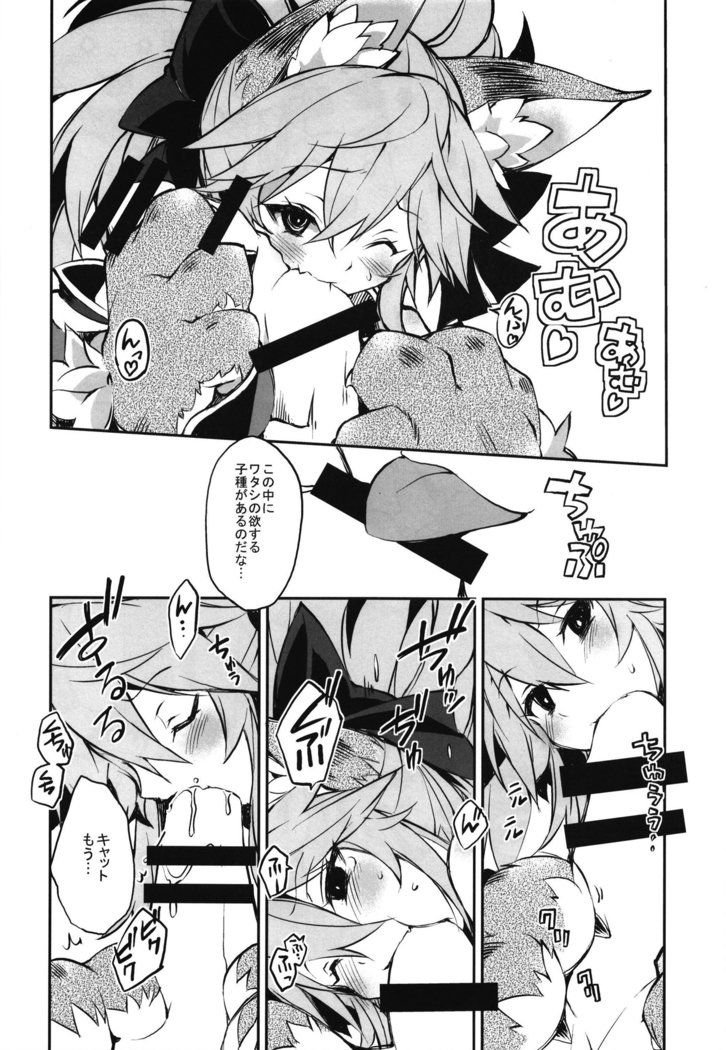 猫ちゃんこずくり大作戦