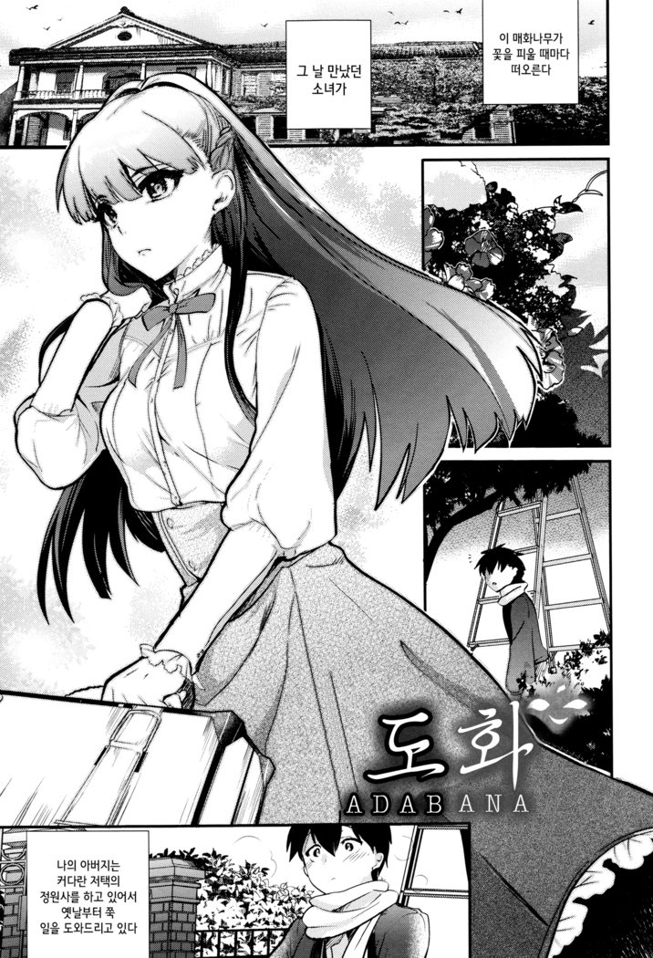 ツヤ、ひめゴト| 비밀스런정사