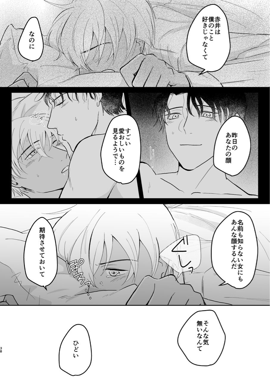 (超秘密の裏稼業2019) [鳥三角 (ぴよど)] これは仕事じゃない (名探偵コナン)