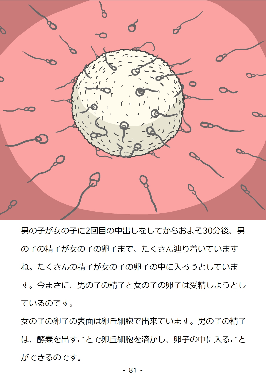 [poza] 思春期の男の子のための性教育・同級生の女の子とセックスをして赤ちゃんを作るおはなし