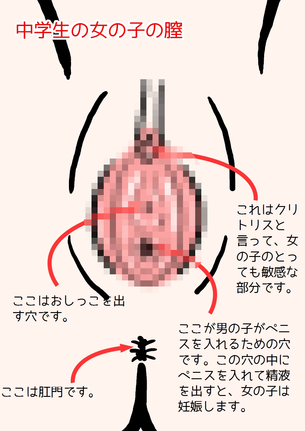 [poza] 思春期の男の子のための性教育・女の子を妊娠させるための中出しセックス入門