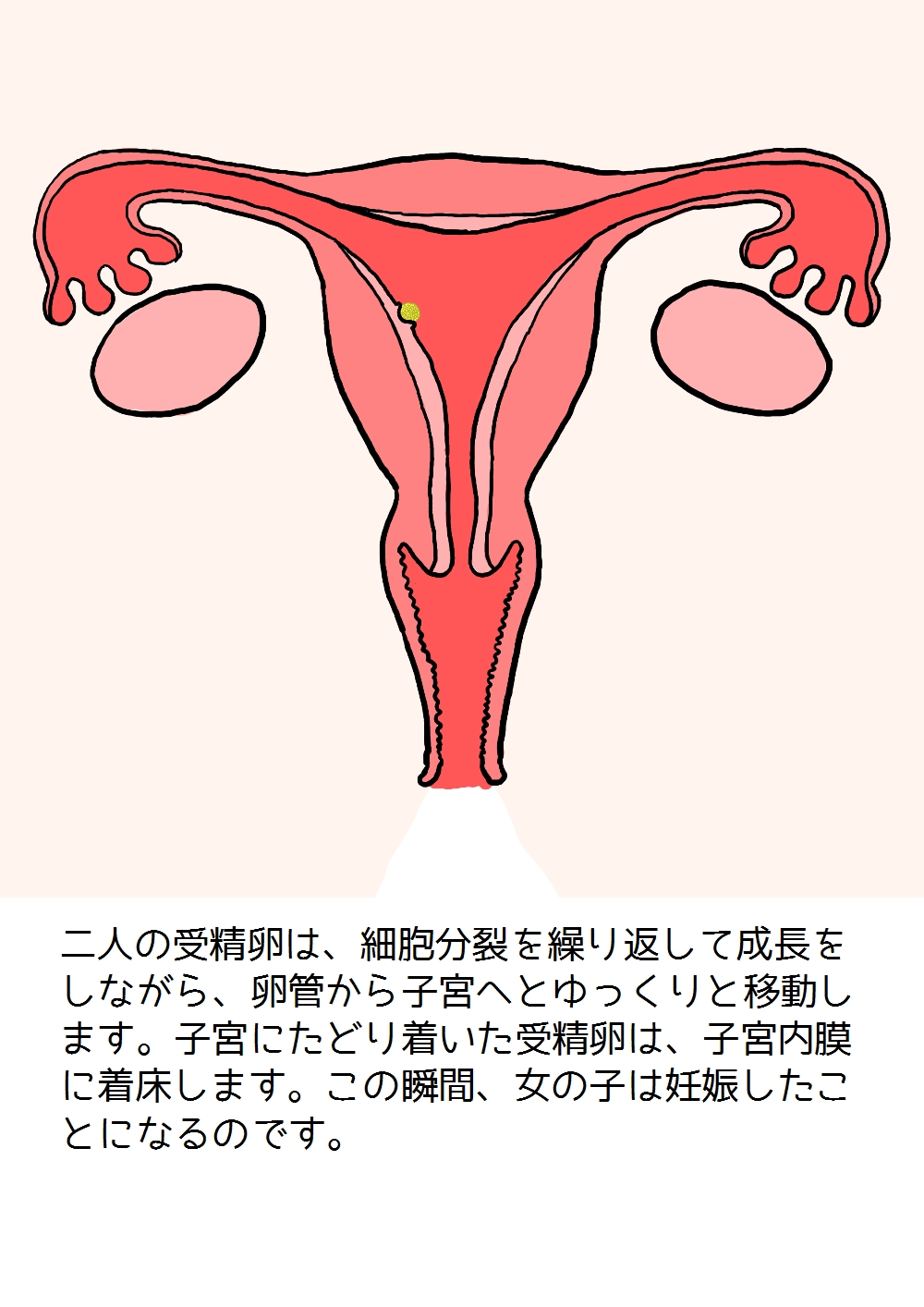 [poza] 思春期の男の子のための性教育・女の子を妊娠させるための中出しセックス入門