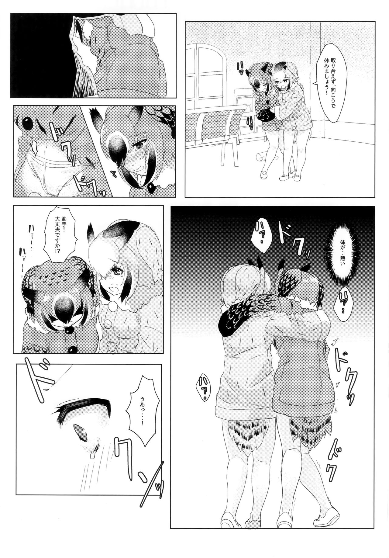(C97) [特訓土下座 (只野まぐ)] CURIOSITY (けものフレンズ)