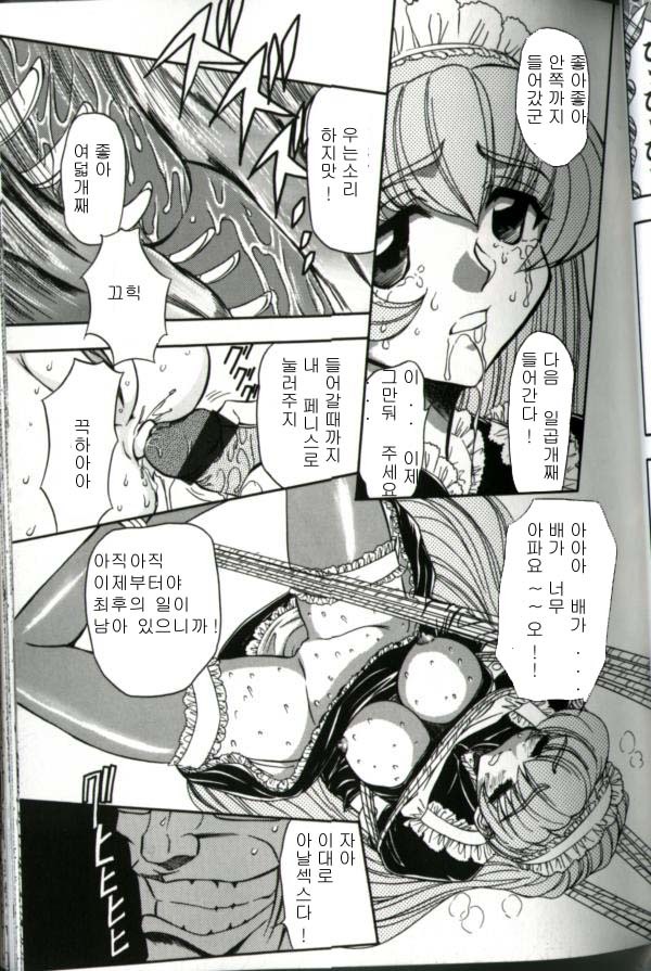 メイド奴隷制計画