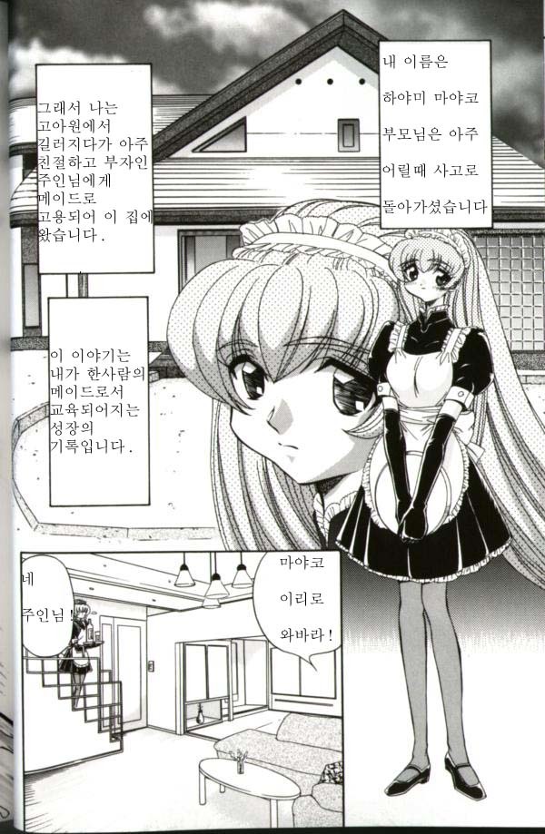 メイド奴隷制計画