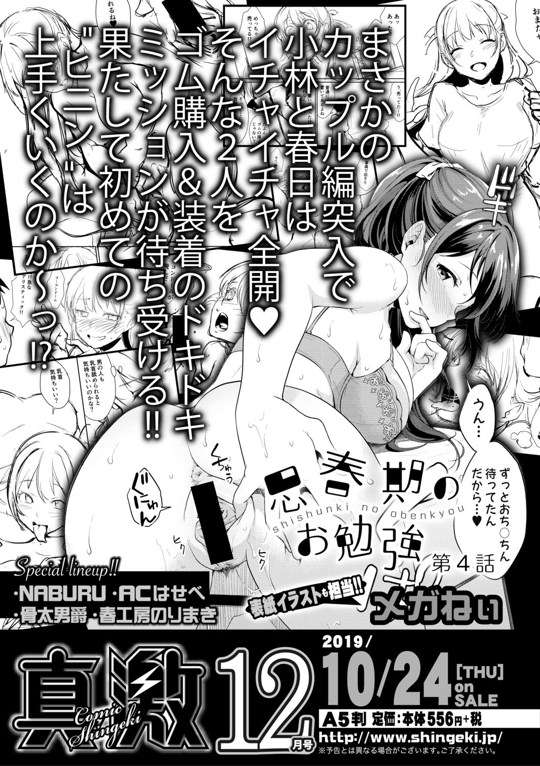 COMIC 真激 2019年11月号 [DL版]