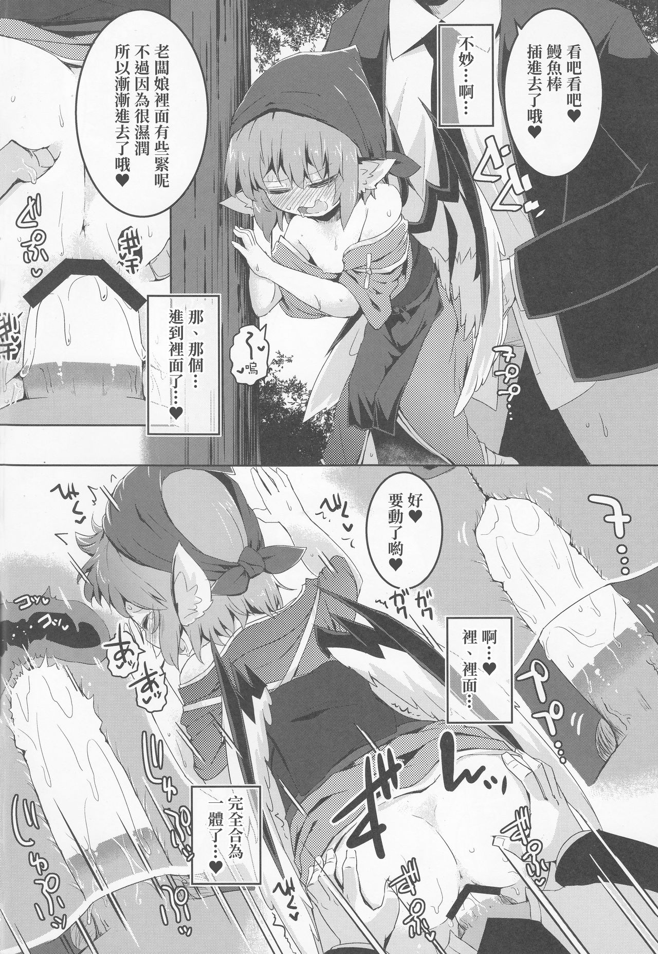(例大祭16) [らーめんらいす (らじー)] 借禁鳥 (東方Project) [中国翻訳]
