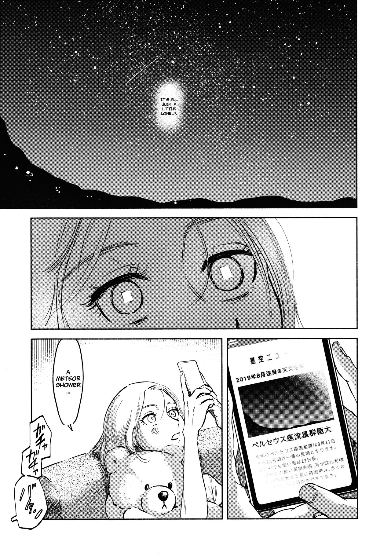 (第25回壁外調査博) [瓶 (えん子)] 流星群におやすみ (進撃の巨人) [英訳]