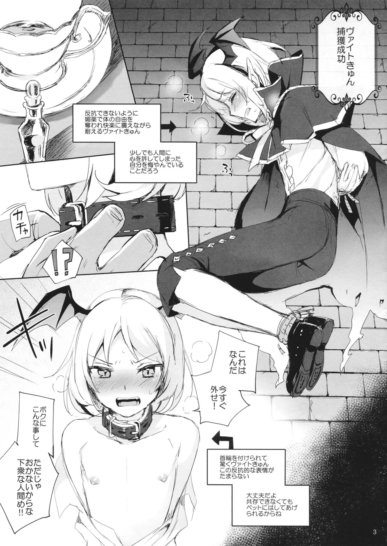 (C91) [candy paddle (ネムネム)] ヴァイトきゅんをペットにしてこねくりまわす (グランブルーファンタジー)