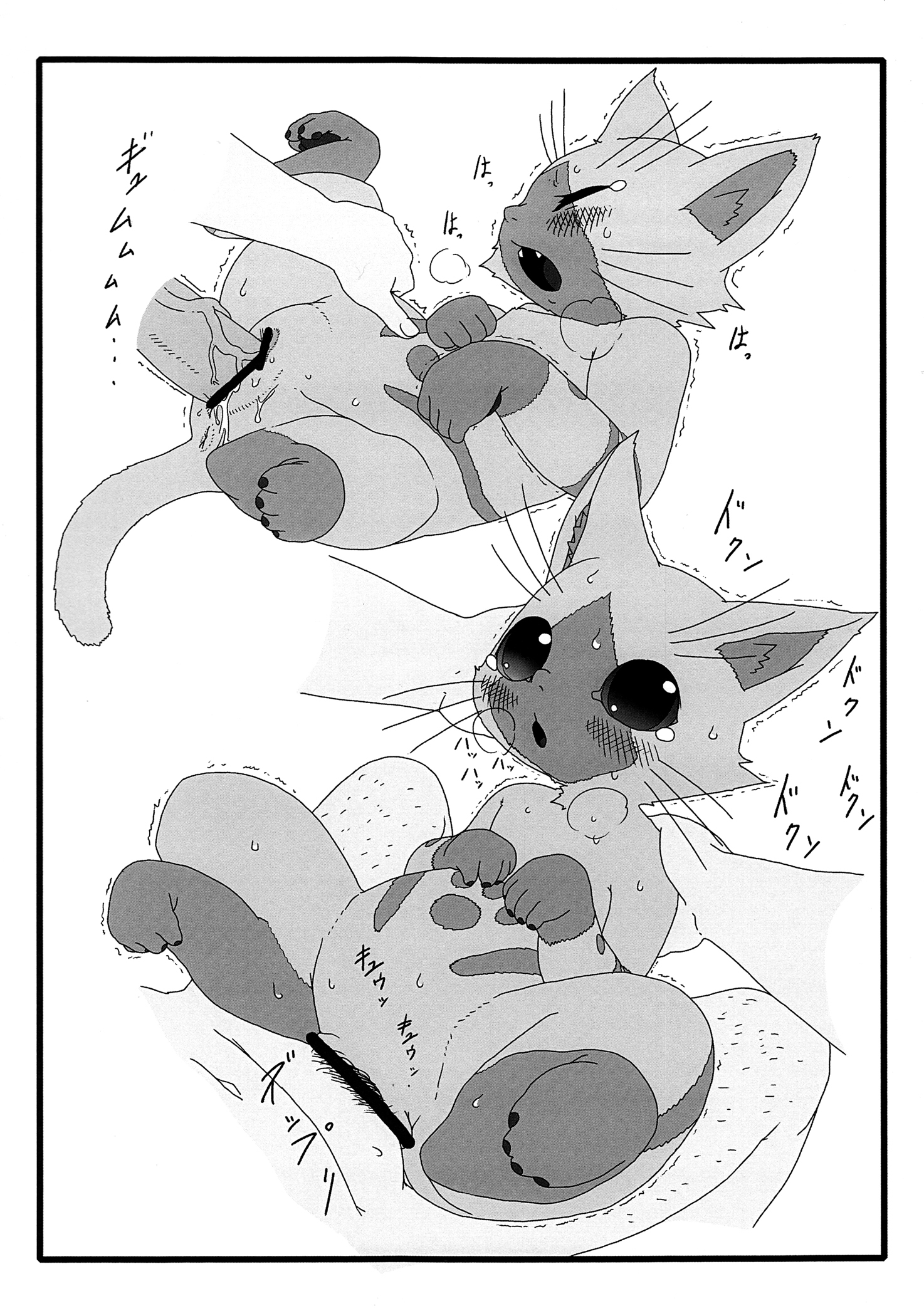 夜の大友にあいろうお。