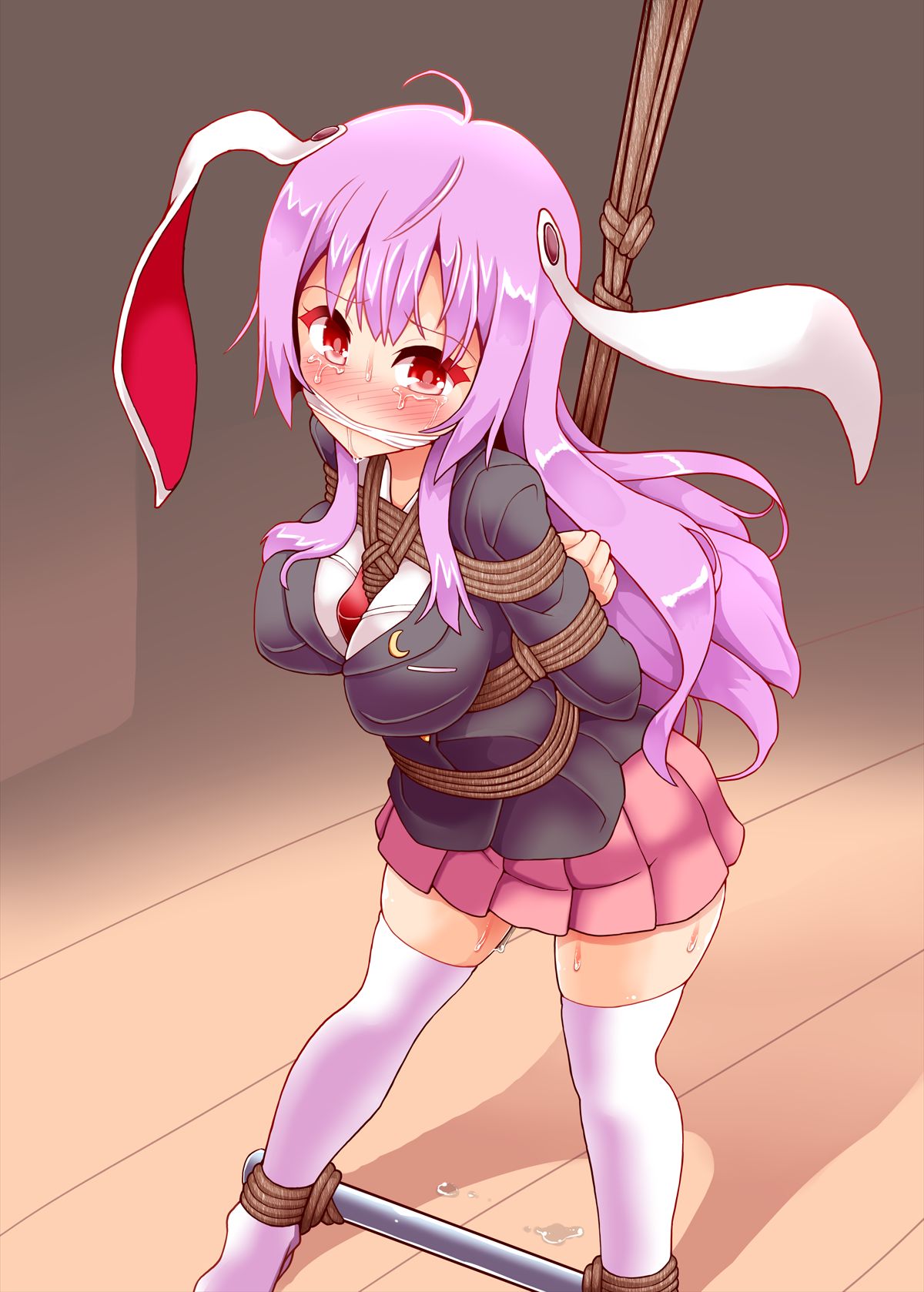 [黒りりの部屋 (lilish)] うさぎ縛り (東方Project) [DL版]