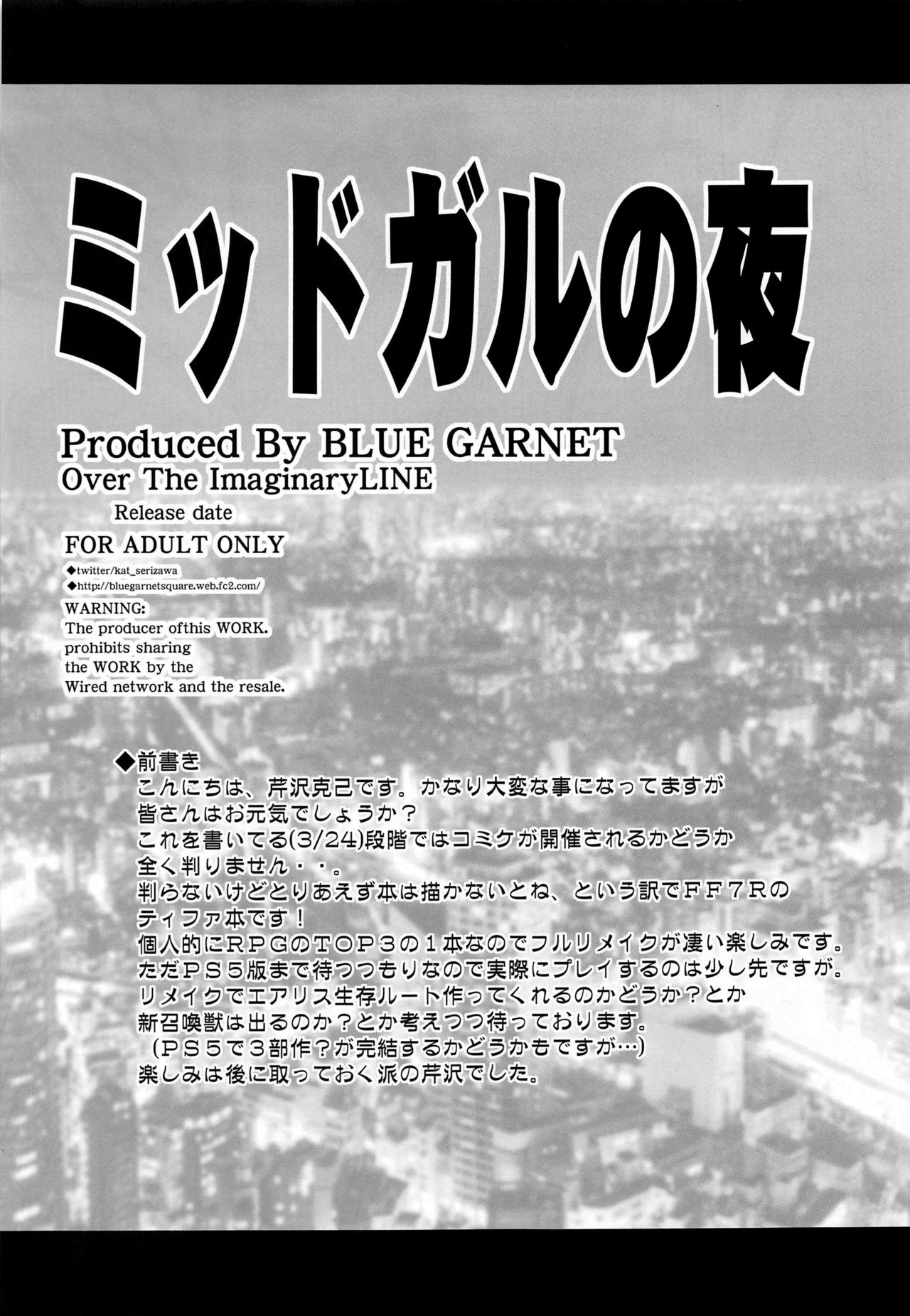 [BLUE GARNET (芹沢克己)] ミッドガルの夜 (ファイナルファンタジー VII) [中国翻訳]