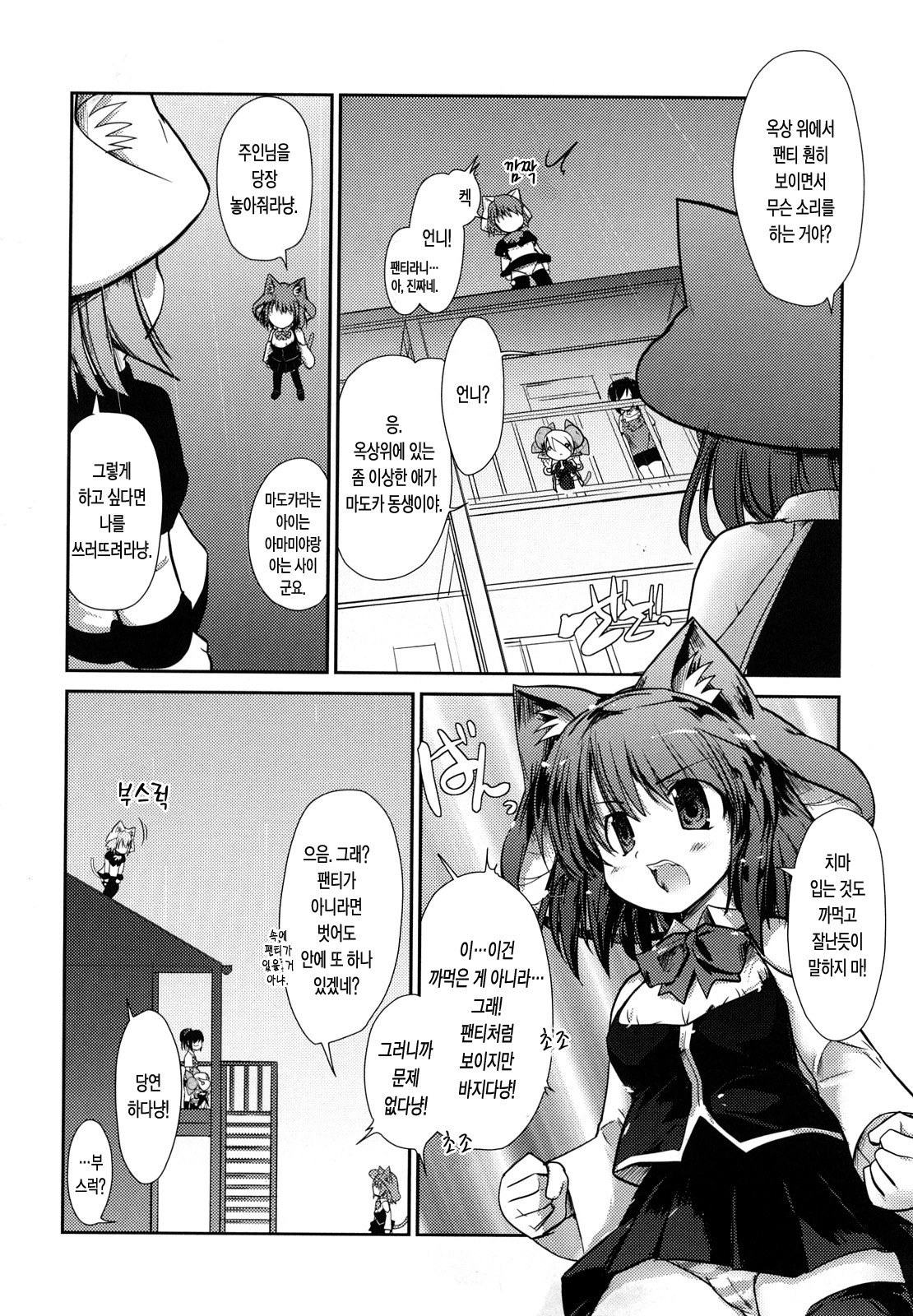 ねこきのと雨の町