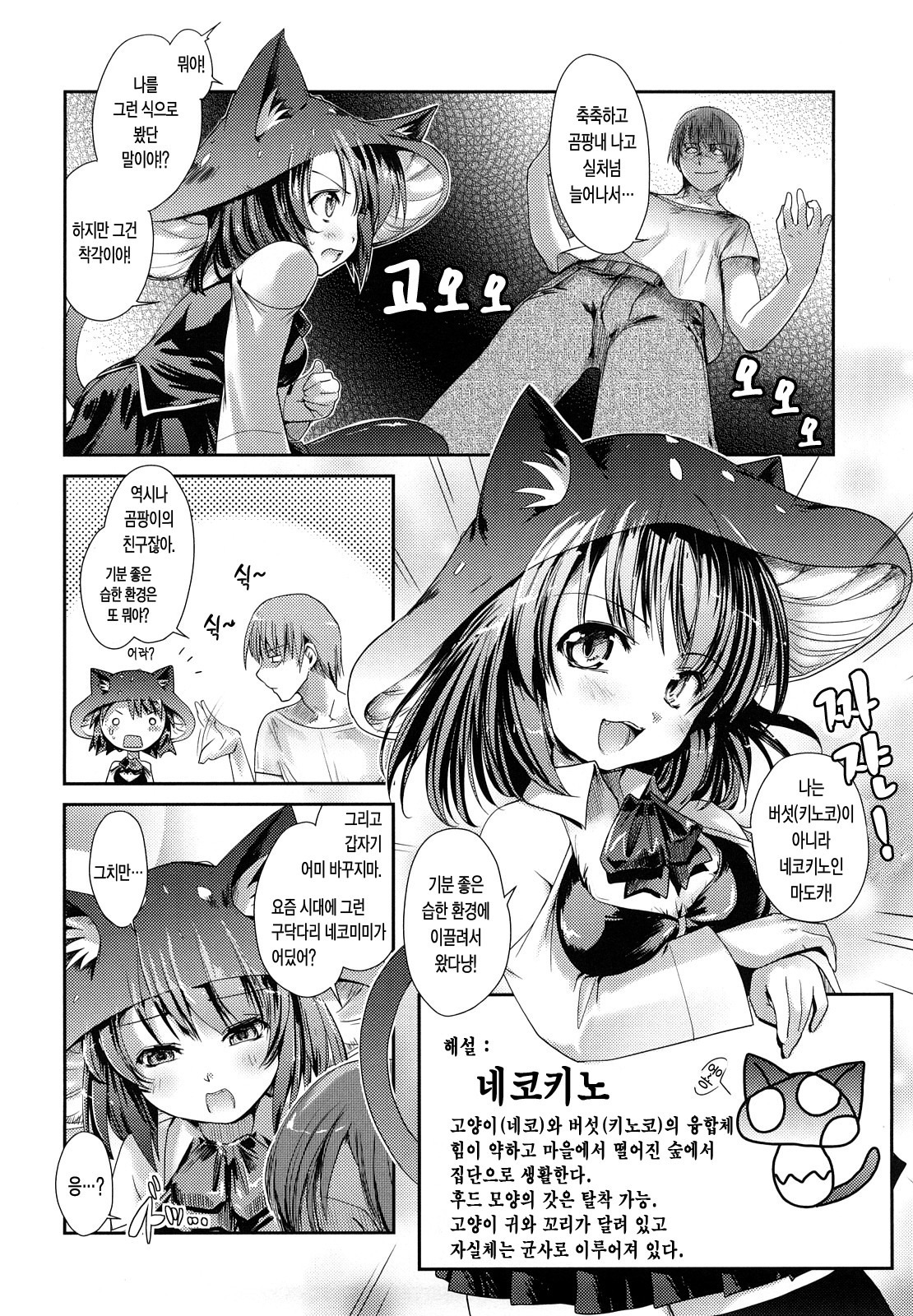 ねこきのと雨の町