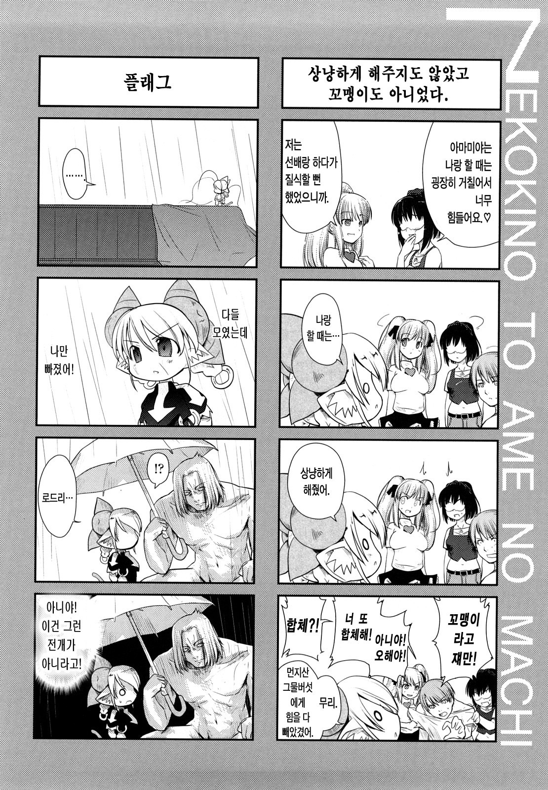 ねこきのと雨の町