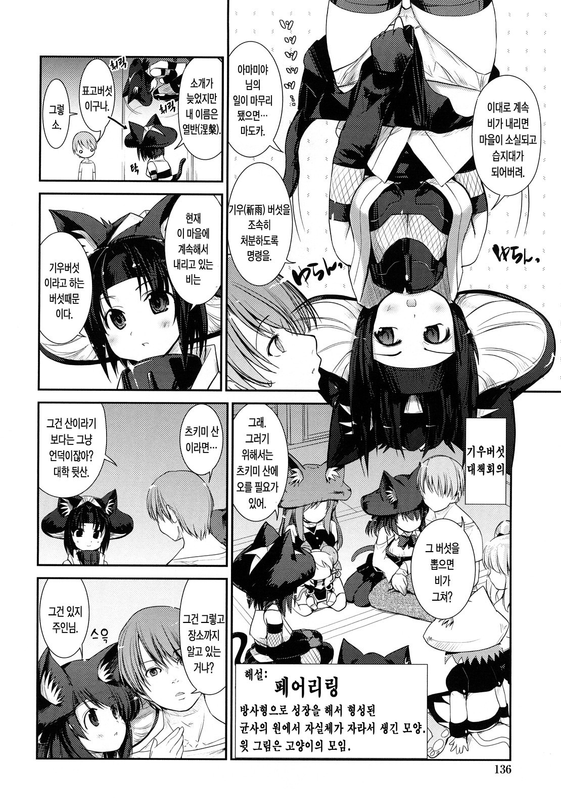 ねこきのと雨の町