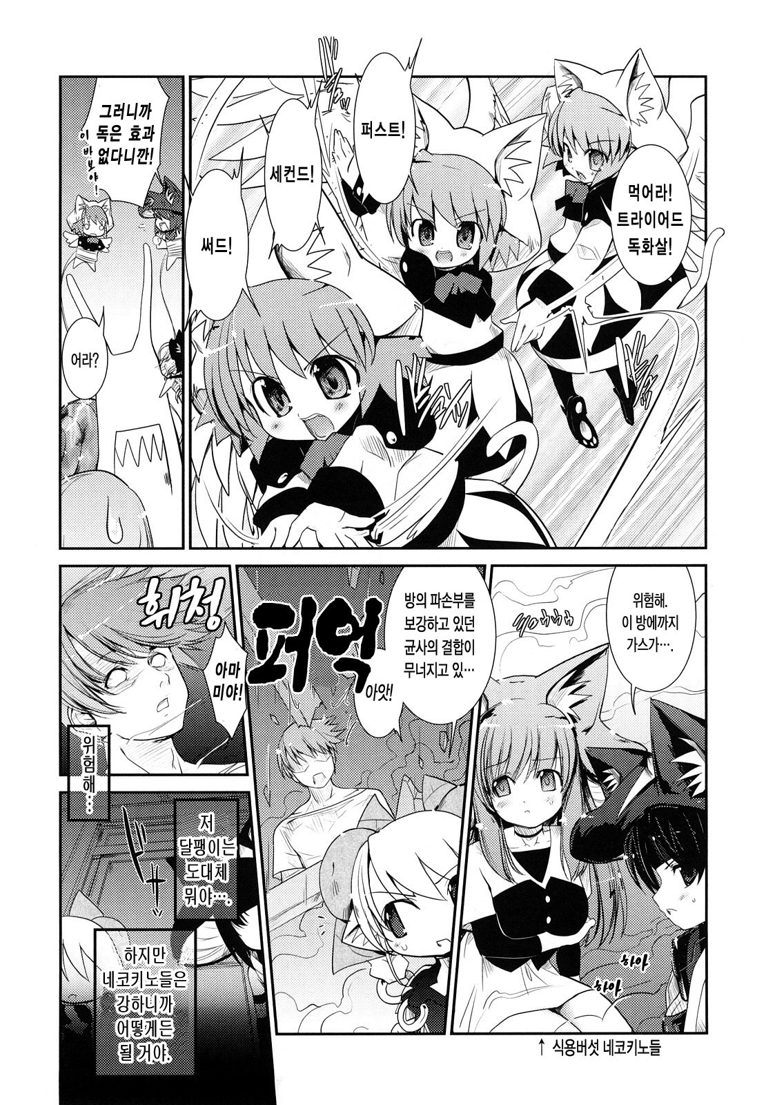 ねこきのと雨の町