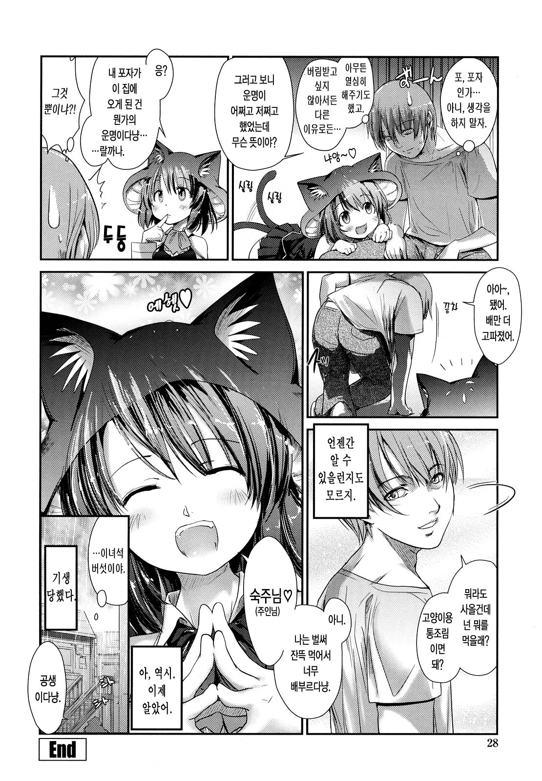 ねこきのと雨の町