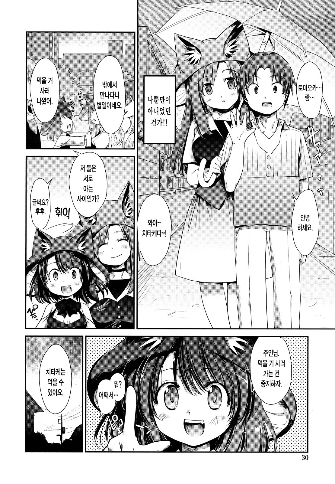 ねこきのと雨の町