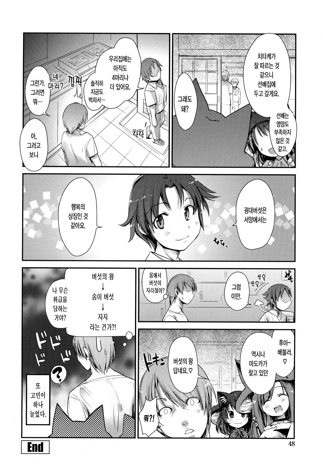 ねこきのと雨の町