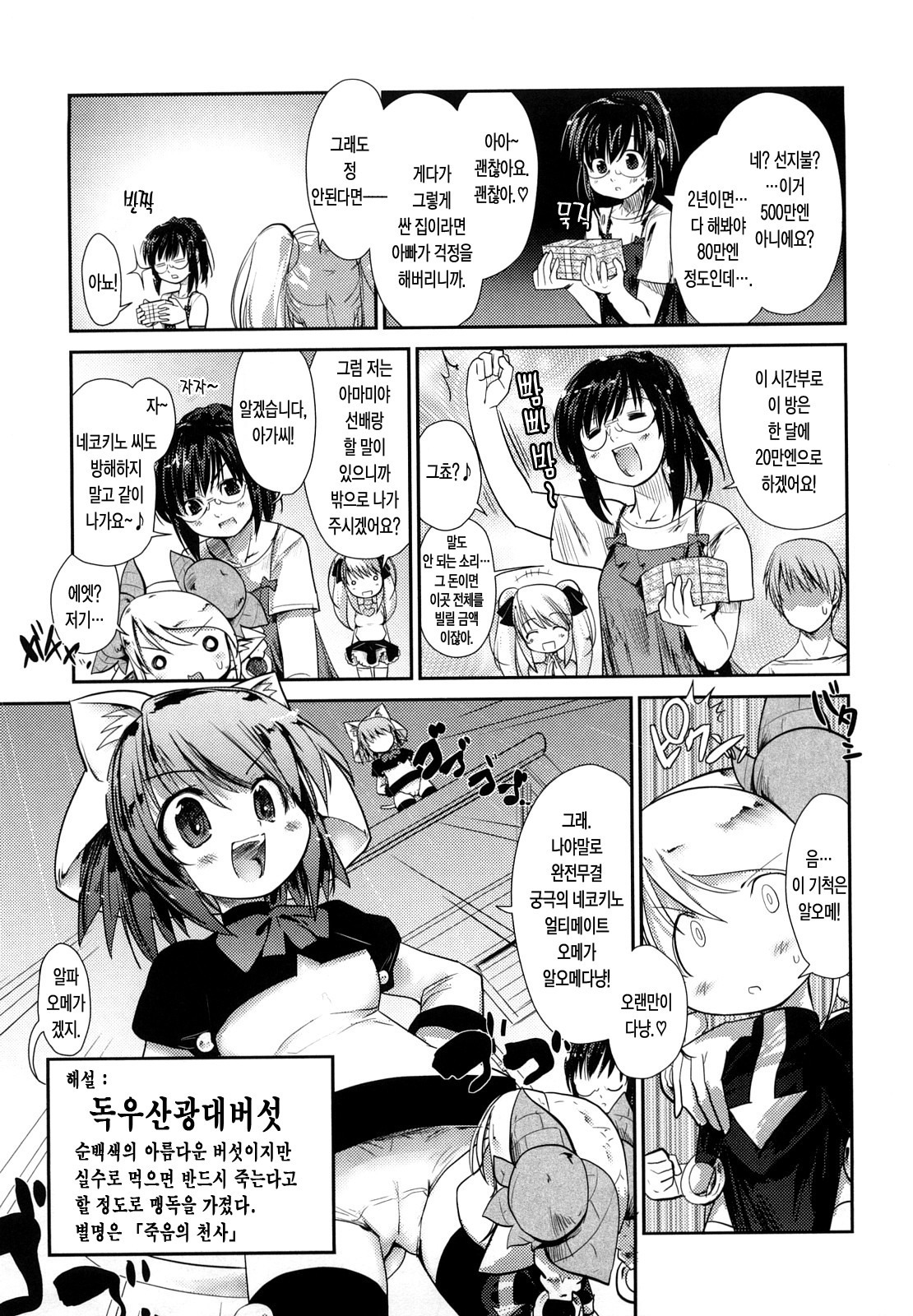 ねこきのと雨の町