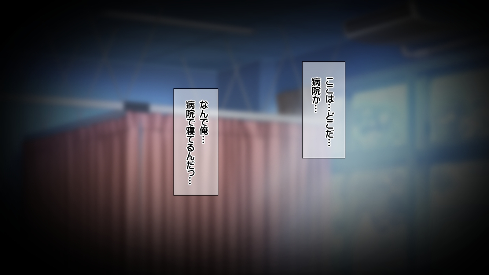 西京のはらませ京香書十星たねつけかんりょう