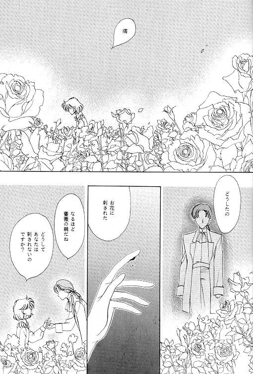 (C49) [SE・NIGHT (佐野真砂輝, わたなべ京)] MASCARADE (ガンダムW)