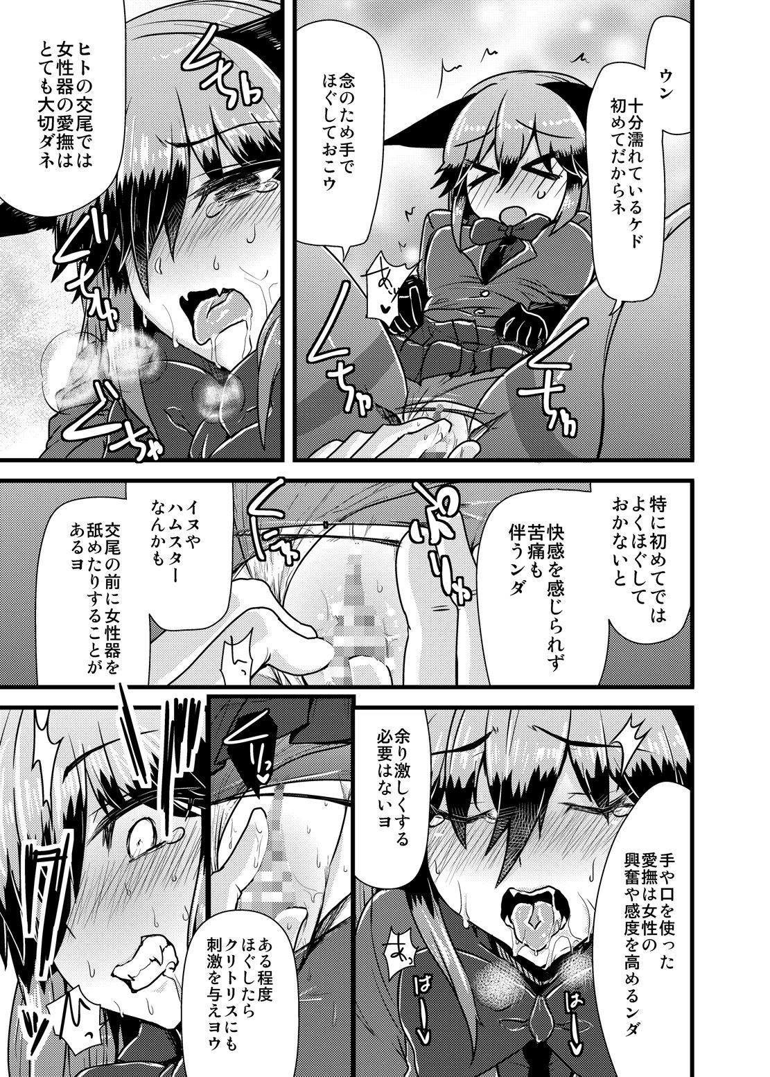 [かうじょん (ぇぃたいさ)] ギンギツネちゃんにヒトの交尾をおしえたいっ (けものフレンズ) [DL版]