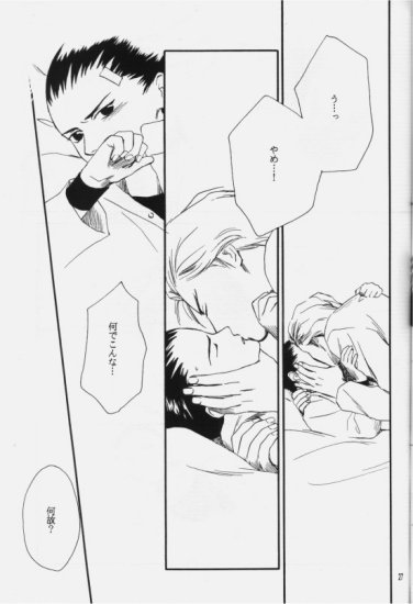 (C50) [ニキータ (梶原にき)] 白色恒星 (ガンダムW)