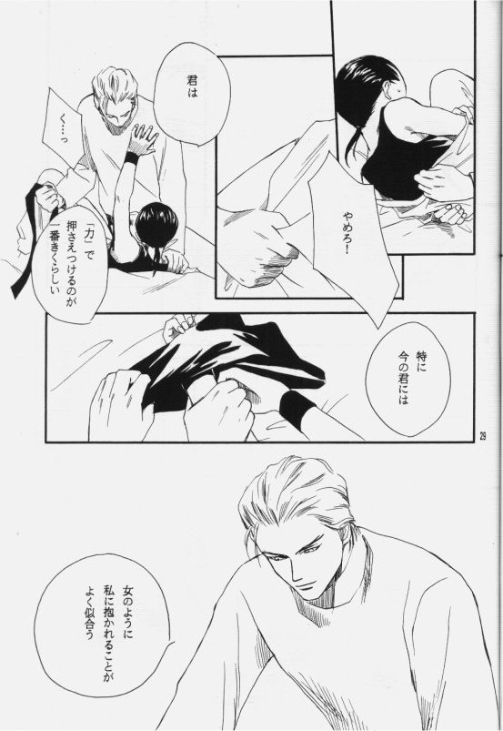 (C50) [ニキータ (梶原にき)] 白色恒星 (ガンダムW)